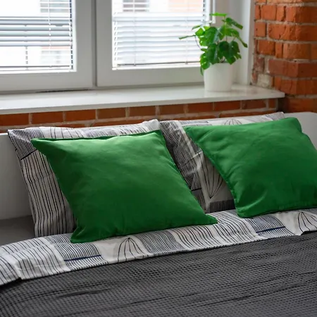 Z Antresola Nowa Papiernia Apartment